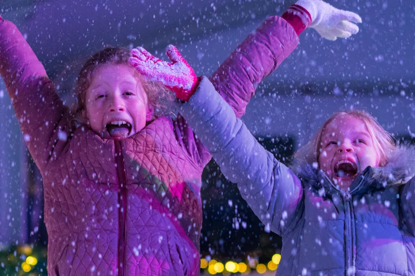 schermafdruk 2018 12 04 112623