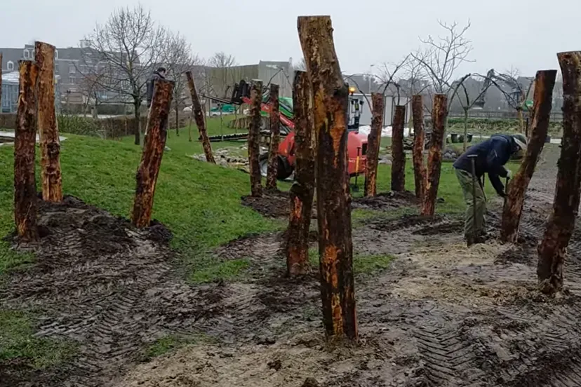 speeltuin steede hoge woerd