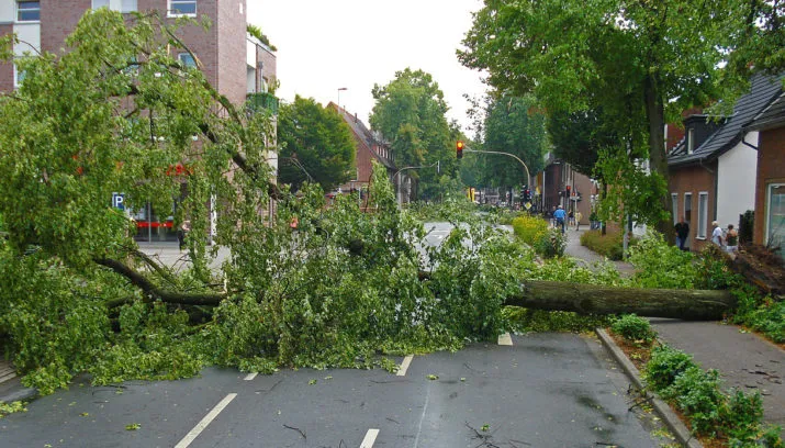 stormschade hq pixabay 715x408