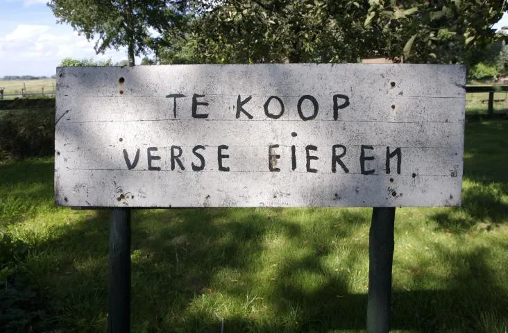 te koop verse eieren