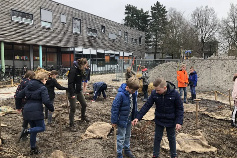 thumbnail img 4731 groot