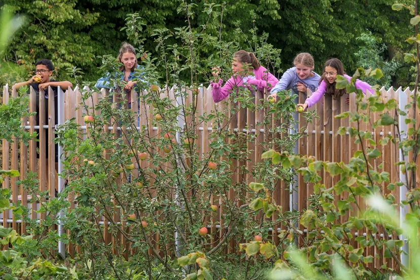 utrecht kunstwerk dichter bij de boom 2953 c dirk verwoerd