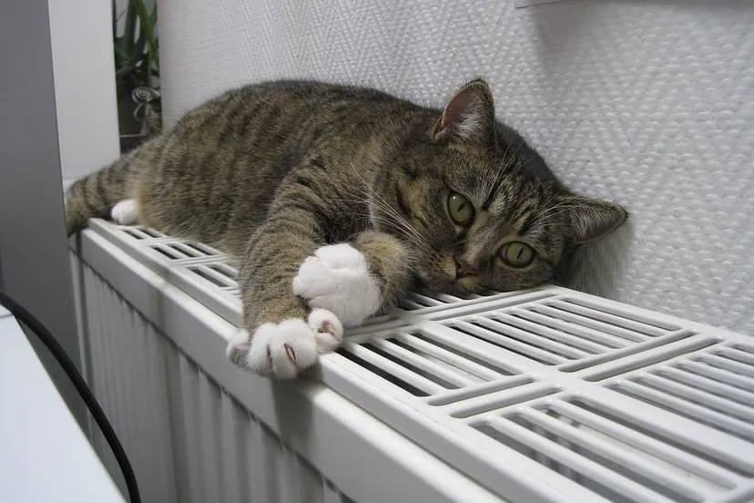 verwarming