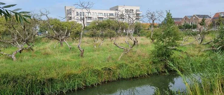 csm boomgaardtuin beeldentuinlaan leidsche rijn 768c2d8d00