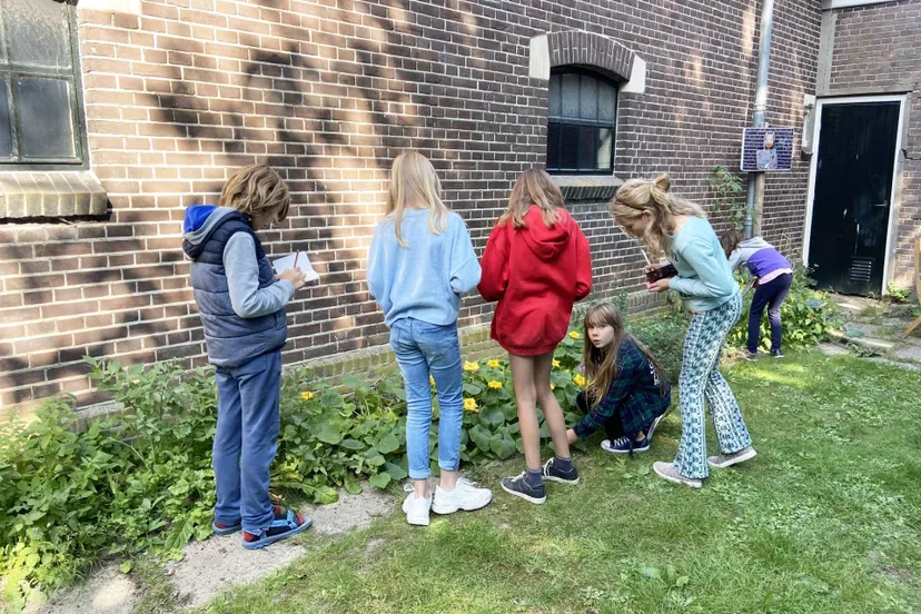 de vrijstaat creatief uit de moestuin