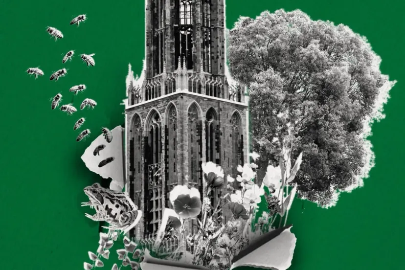 Afbeelding Tegenbegroting 2026 PvdD Utrecht