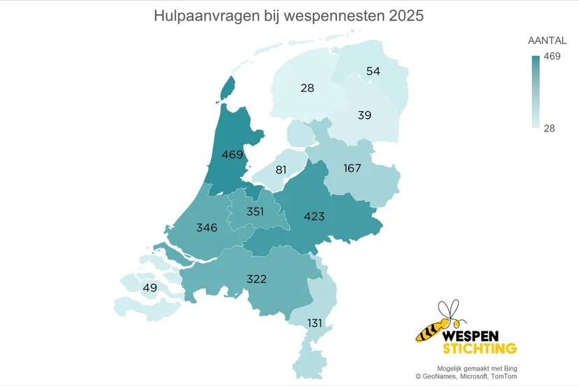 Hulpaanvragen bij wespennesten 2025 - Wespenstichting