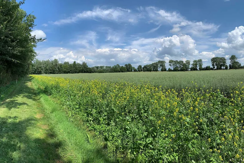 akker groen prov flevoland
