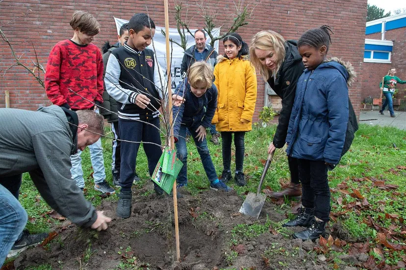 appelboom planten
