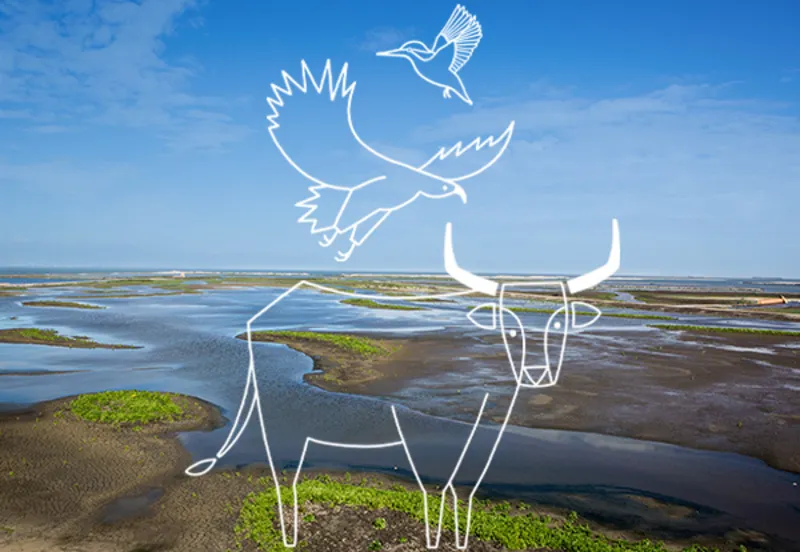 audioreis nieuw land oostvaardersplassen