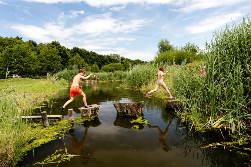 belevenissenbos prov flevoland