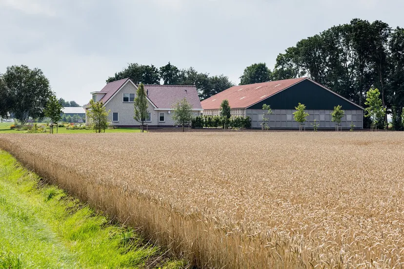 boerderij met gewassen
