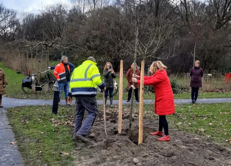 bomen planten bultpark