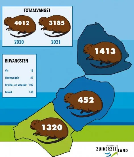 cijfers muskusrattenvangst 2021