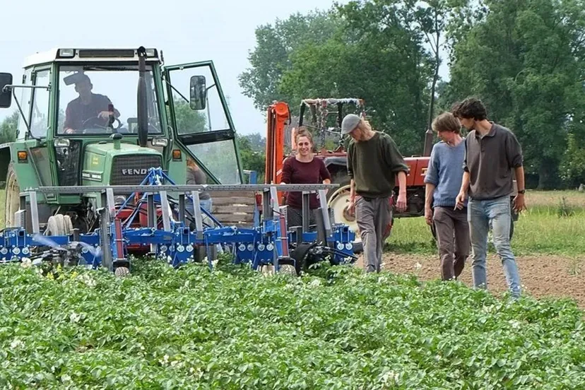 colorado beetle catcher in actie prov flevoland