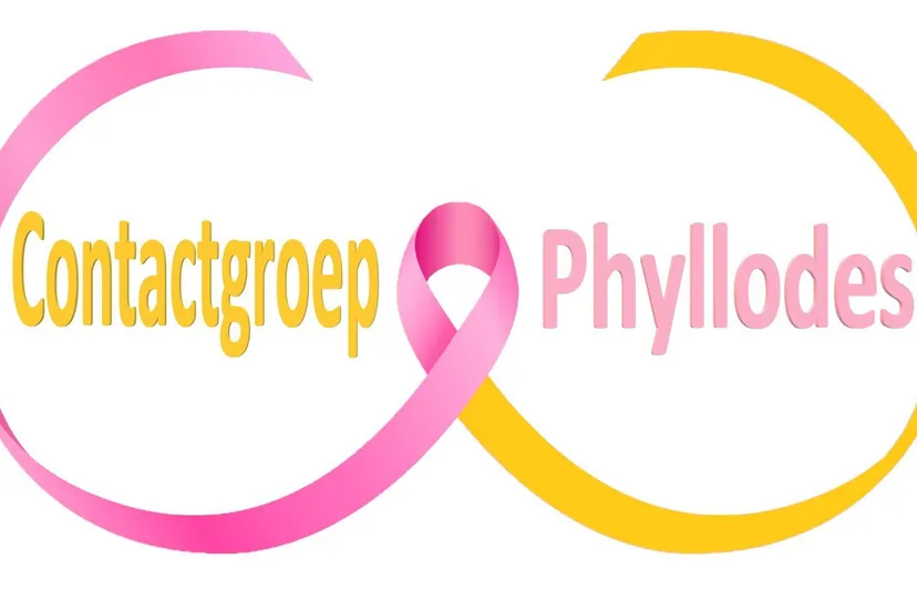 contactgroep phyllodes
