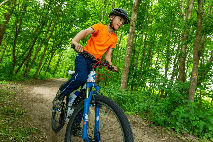 crossen door de bossen