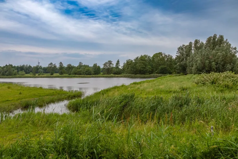 de kamperhoek randy van domselaar