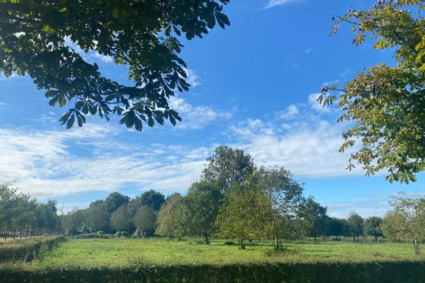 de kemphaan almere festival het groene geheim