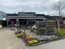 de korenschoof