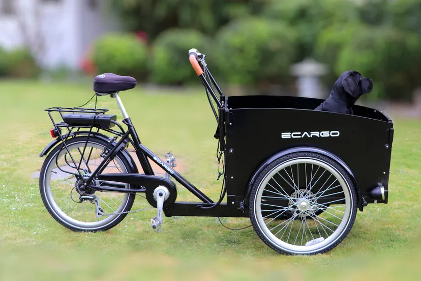 elektrische bakfiets