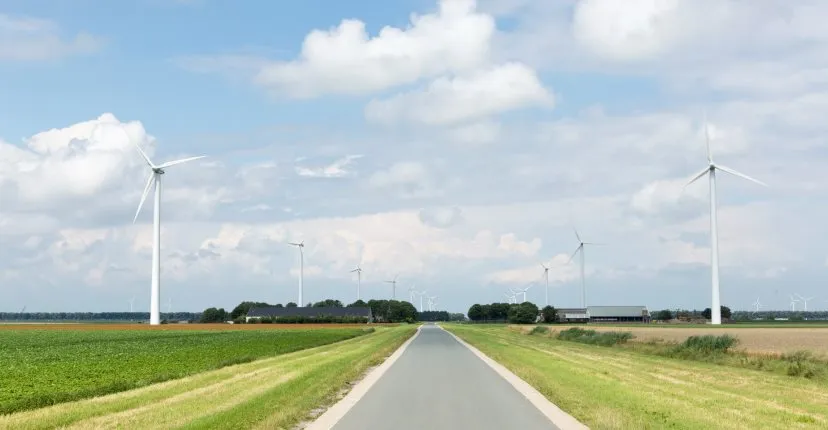 flevoland agrarische bedrijven