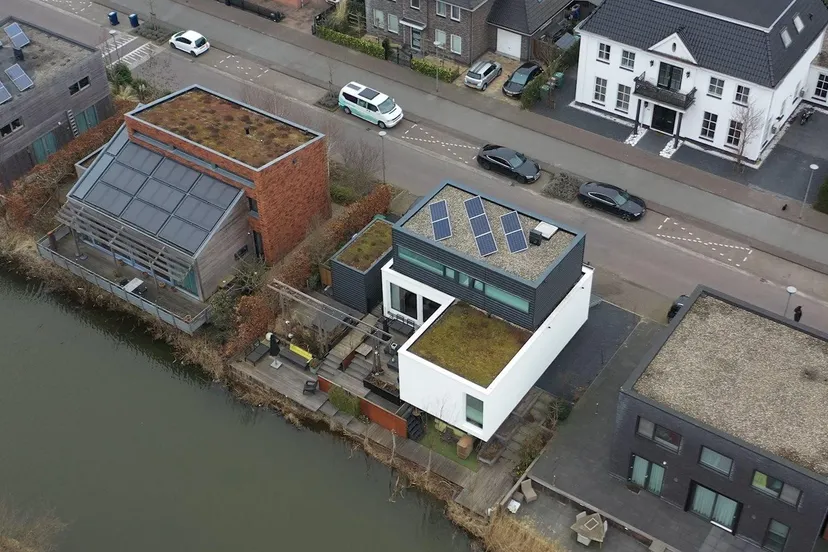 groene daken prov flevoland