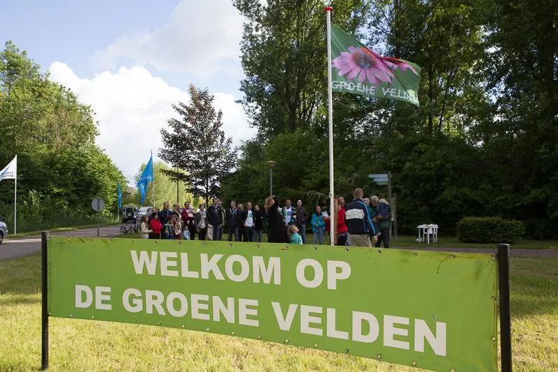 groene velden