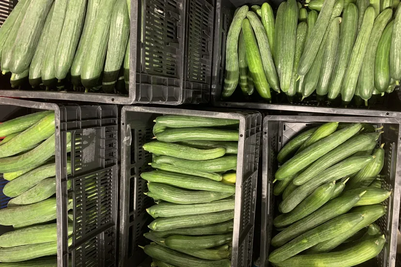 groente fruitbrigade