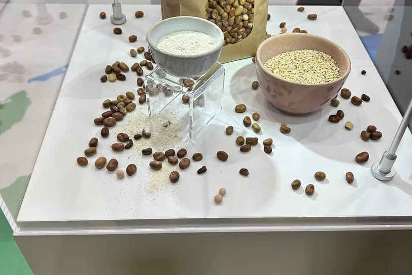 grune woche 2024 prov flevoland