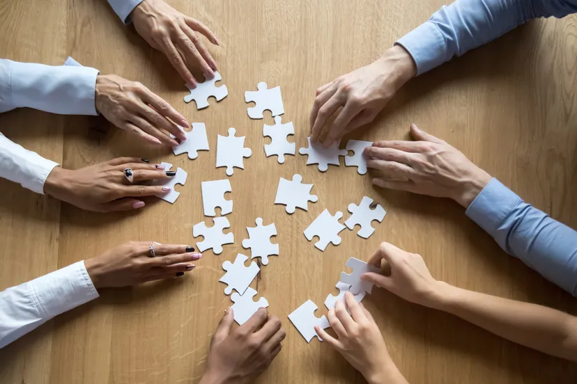 handen en puzzelstukjes prov flevoland