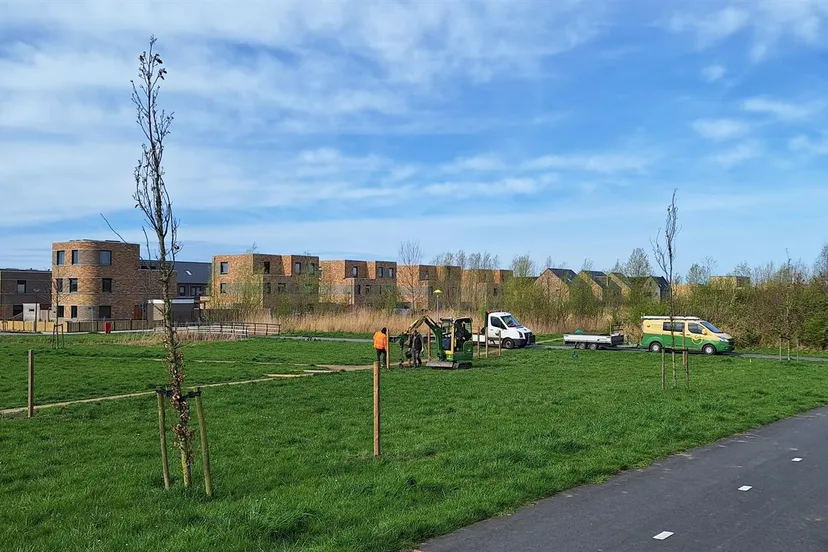 hondenveld gem lelystad