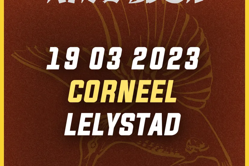 kingfisher sky plays kate bush