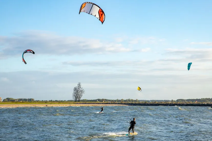 kitesurfers surfstrand batviastrand