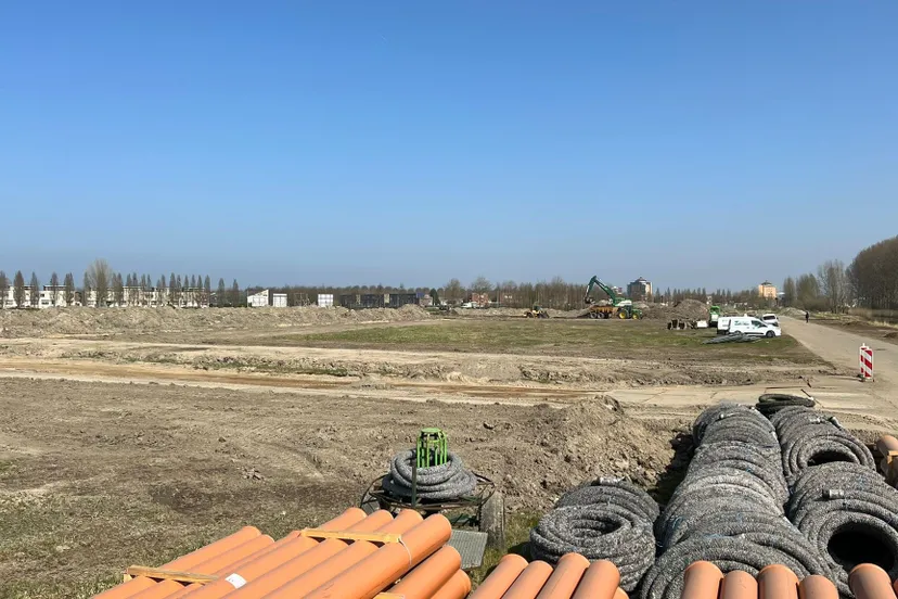 klein nooten in warande