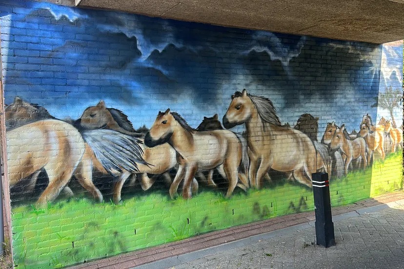 konikpaarden in tunneltje remon koreman