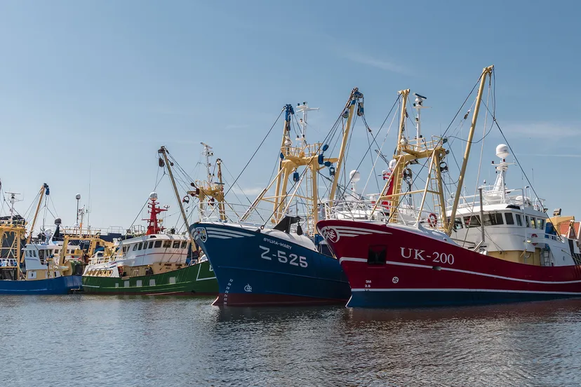 kotters op urk prov flevoland