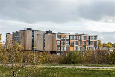 lelystad next level2