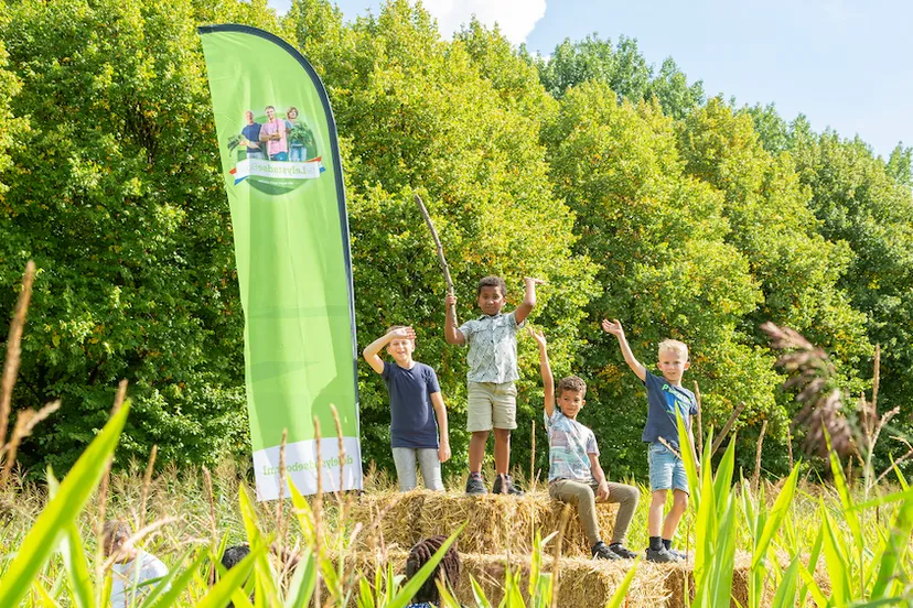 maisdoolhof lelystad