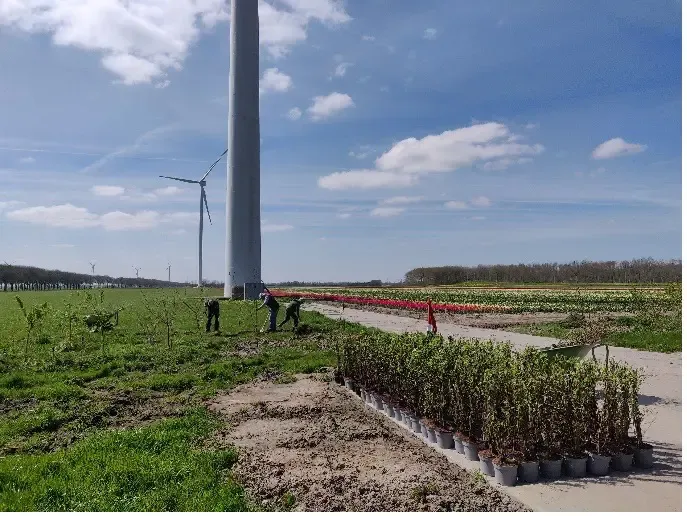 meer bomen nu flevoland 1 meer bomen nu