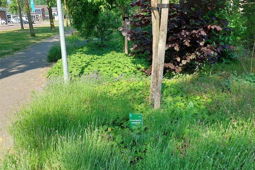 mensen maken de buurt gem lelystad