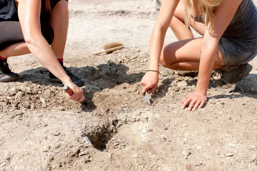 nationale archeologiedagen flevoland prov flevoland