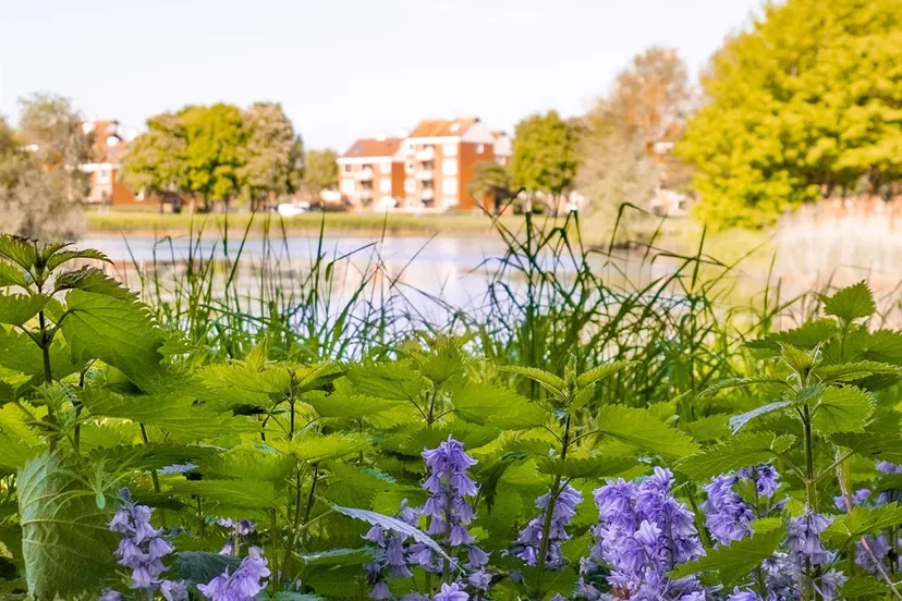 natuur lelystad gem lelystad