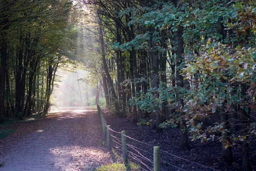 natuurpark lelystad1