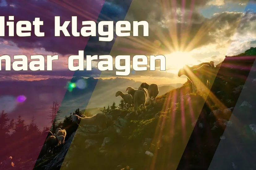 niet klagen maar dragen