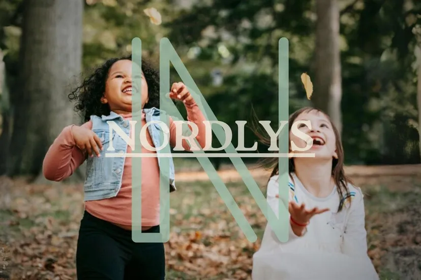 nordlys lelystad gem lelystad