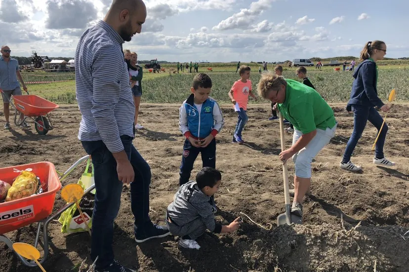 oogstdag schoolkinderen de lelystadse boer