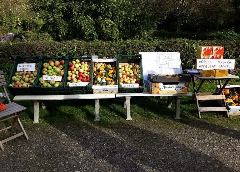 oogstmarkt vmt lelystad