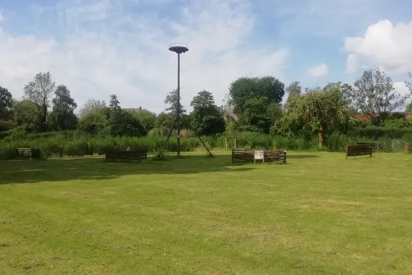 ooievaarsnest bultpark 050524 kna