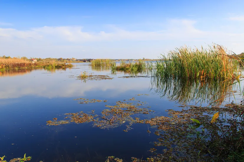 oostvaardersoevers kennisgeving